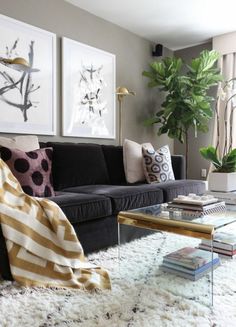 A Medium Sized Living Room Furnished With Rust Red Sofa