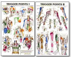 26 Best Dry Needling And Myofascial Release Images Mage Trigger Point Charts Showing The Many Common Referral Patterns