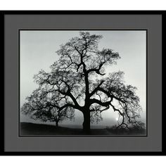 ca 30,5 x 20,3 cm signiert 12X8 INCHES Fotodruck Jack Lemon