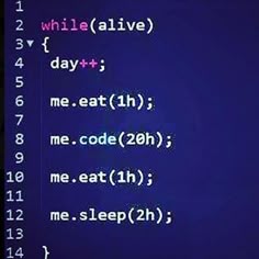 funny programmer quotes image