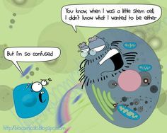 Molecular Biology Funny Jokes 57 Best Immunology Humor images Science humor Science Molecular Biology Funny Jokes 57 Best Immunology Humor images Science humor Science