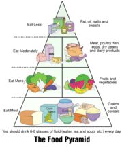 Chinese food pyramid picture