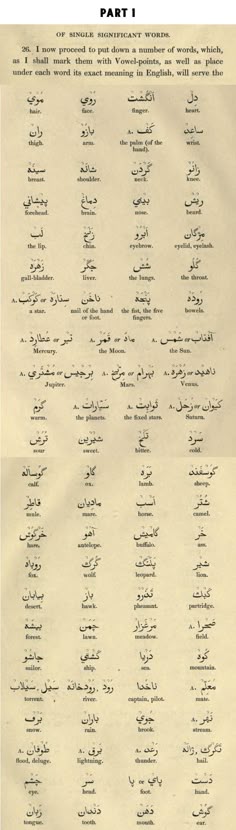 flirting meaning in arabic bible study flirting meaning in arabic bible study