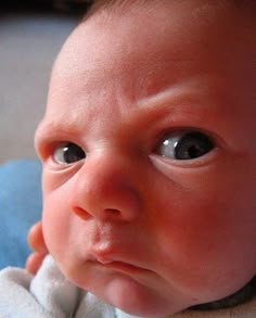 Funny Baby Photos Funny Baby Faces Funny Pictures Face Funny Baby Photos Funny Baby Faces Funny Pictures Face