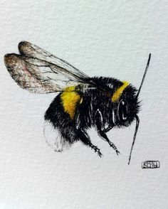 Die 8 besten Bilder von Bienen in 2019 | Bienen 6 x Kunststoff Bienenhaltung Honig Eingang Feeder Biene