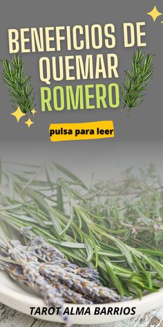 9 Ideas De Oracion Para Ganar Dinero En 2021 Oracion Para Ganar Dinero Hechizos De Dinero Rituales Para La Suerte