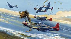 31 best red tails