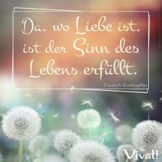 Christliche bücher über beziehungen und dating