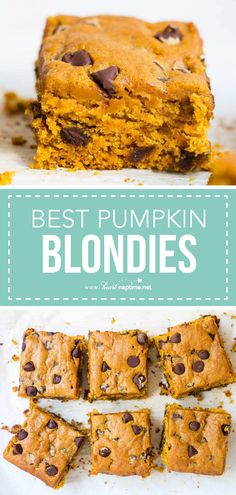 348 best pumpkin recipes