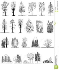Landscape Architecture Plan Trees cad blocks - tree pack 04 | first in architecture | interior Landscape Architecture Plan Trees cad blocks - tree pack 04 | first in architecture | interior