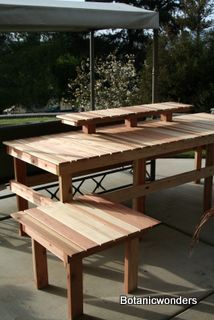 41 Delightful Bonsai Display Outdoors Images Garden Bonsai Display Table