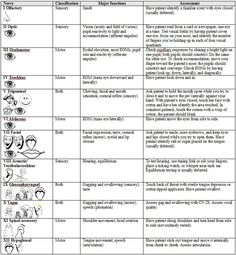 nursing neurological assessment forms