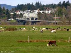 Puget island washington