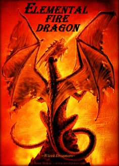 The Element of Fire governs the Southern quarter of the circle. It's Dragon Ruler is Fafnir (faf'near) who oversees the Dragons of Fire. It's color is pure red; it is considered warm & dry. The positive associations of Fire are; Noon, Summer, the Dagger & the Sword, Candles, Incense Burner, the Sun, Blood, Enthusiasm, Activity, Change, Passion, Courage, Daring, Will Power, Leadership. Negative are; Hate, Jealousy, Fear, Anger, War, Ego, (D.J.Conway; Dancing with Dragons) Dragon Images, Dragon Pictures, Wiccan, Magick, Anne Stokes, Dragon's Lair, Fire Element, Fantasy Dragon, High Fantasy
