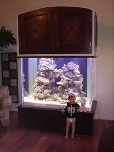 26 best aquarium images