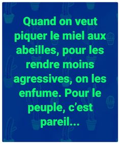 330 Idees De Dur Realite En 21 Humour Drole Blague 330 Idees De Dur Realite En 21 Humour Drole Blague
