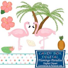 These Friendly Flamingos Are Enjoying Their Tropical Vacation The Beautiful These Friendly Flamingos Are Enjoying Their Tropical Vacation The Beautiful