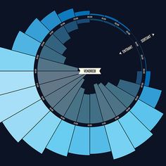 circular timeline