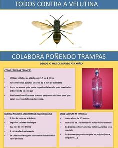 Rodrigo Gv Rodrigocho Perfil Pinterest