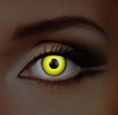 20 best twilight contact