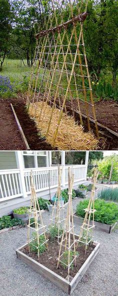Kleinen Garten Gemüsebeet Gemüsegarten Pinterest Gemüsebeet - gemusegarten anlegen beispiele Kleinen Garten Gemüsebeet Gemüsegarten Pinterest Gemüsebeet - gemusegarten anlegen beispiele