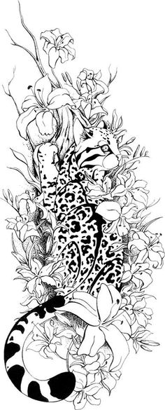 Nature Cat coloring pages! NatureCat SummerOfAdventure