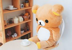 80x130cm YRTGF Toalla de ba/ño Toallas de Playa Suaves y Ligeras para Mujeres Rilakkuma Korilakkuma Kiiroitori Chairoikoguma Toallas de ba/ño