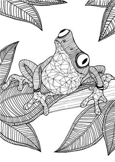 Frog Adult Colouring Page In Sheets