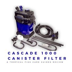 76 best aquarium filtration