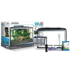 608 best aquariums images