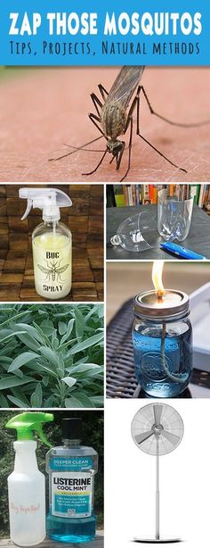 Natural Methods Get Rid Of Mosquitos In Yard Natural Methods Get Rid Of Mosquitos In Yard
