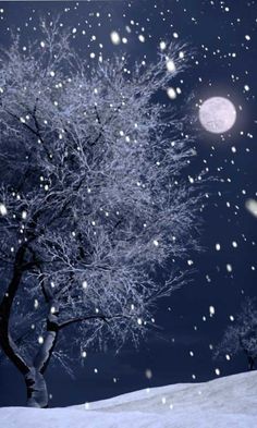 264 best winter scenes