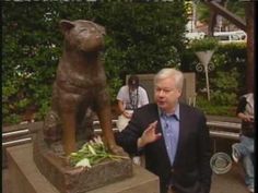 Hachiko A Dogs Story Of Loyalty In Tokyo Hachiko A Dogs Story Of Loyalty In Tokyo