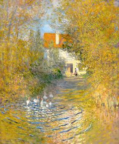 monet pierdere în greutate