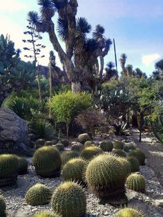 Parque Ecológico Cuemanco - Xochimilco | Botanical gardens, Xochimilco