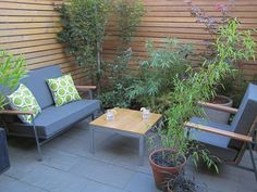 113 Best Urban Patio Images On Pinterest Small Gardens Backyard Andrea S Mini Urban Farm Small Patio Esgarden