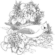Northern Cardinal And Violet Illinois Bird Flower Coloring Page