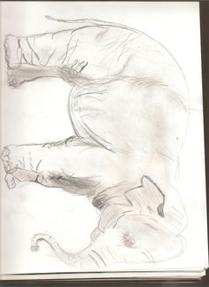 sketching free
