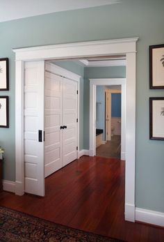 Sherwin Williams Silvermist Paint Colors Pinterest House Benjamin Moore Pleasant Valley For The Media Room