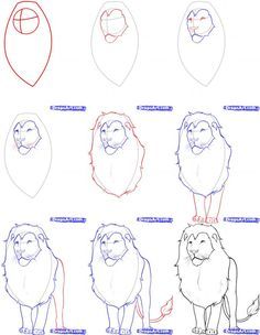 below is a step by step tutorial on how to draw a realistic lion