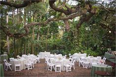 The Oak Pavilion At Sunken Gardens In St Petersburg Is A Great Sylvie And Eric Said Their I Do S In The Gorgeous Sunken Gardens Downtown St