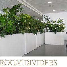 Large Indoor Plant Pots Melbourne | Indoor Planters Melbourne ... Large Indoor Plant Pots Melbourne | Indoor Planters Melbourne ...