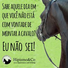 Cavalos Imagens E Fotos Para Facebook Pinterest Whatsapp Defina O Cavalo árabe Em Uma Frase Youtube