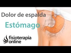 13 Ideas De Musculo Piramidal Musculo Piramidal Dolor De Cadera Trocanteritis