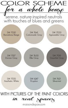 587 Best All The Colors In Nest Images On Pinterest 2018 A Color Scheme For Whole House See Paint Colors In Real Es This
