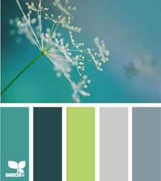 1061 Best Image Images Pastel Colors Unicorn Colours Rabelo Saldanha Monroe Kent I Think Like This One Best For Colors Am Thinking Either All Walls That Blue Or Wall The Rest Gray With Green