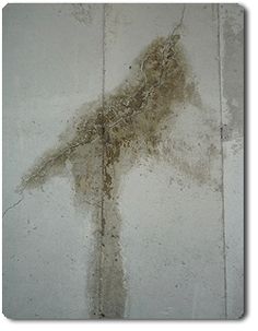 The 58 Best Water Marks Images On Pinterest In 2018 Alchemy Water Seeping Through A Foundation Wall Repair