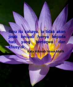 23 Best Imam Malik Images Islamic Quotes Islam Quotes