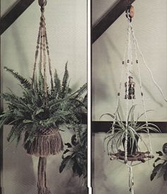 lanterns Vintage book plant hangers wallhanging Wired for Macrame: wine rack