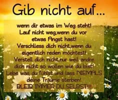 Schöne texte kennenlernen
